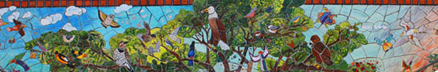 Alvarado Newsletter Graphic